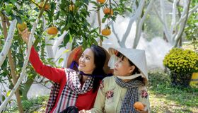 Fruit Garden Dong Thap Tien Giang